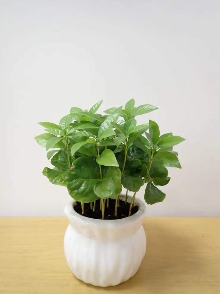 中山社大114.11.13