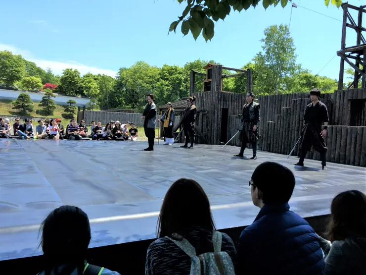 戶外武打秀：忍者外傳．伊賀組的鬪爭