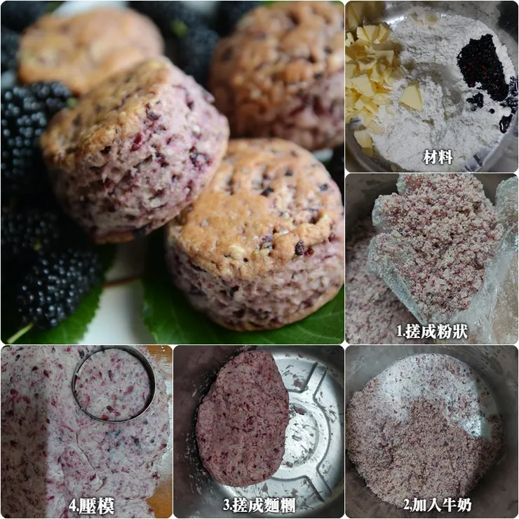 桑葚司康製作簡圖