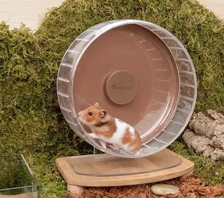 圖片來源:Niteangel