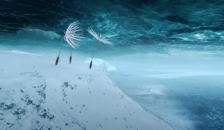 《蒲公英的奇幻漂流》劇照／金馬影展提供