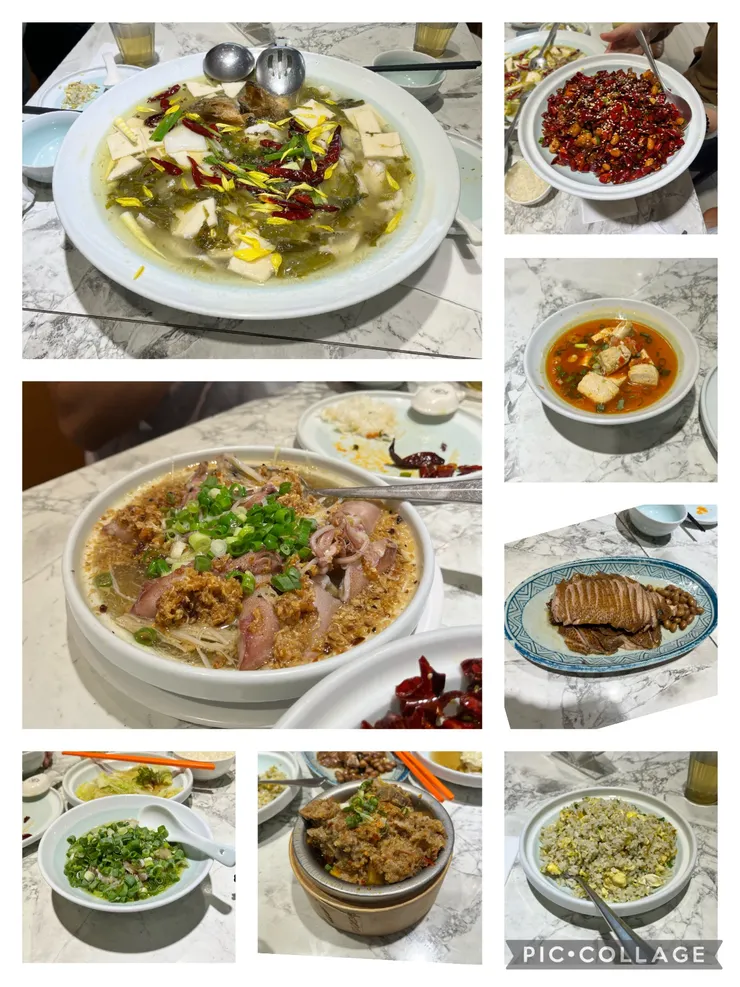 左上酸菜魚、左中蒜蓉粉絲蒸小卷、左下青麻椒豬手、粉蒸排骨，右上起辣子雞丁、剁椒臭豆腐、魯鵝胸、酸菜炒飯。