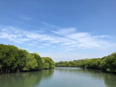 莊子 齊物論  是與非