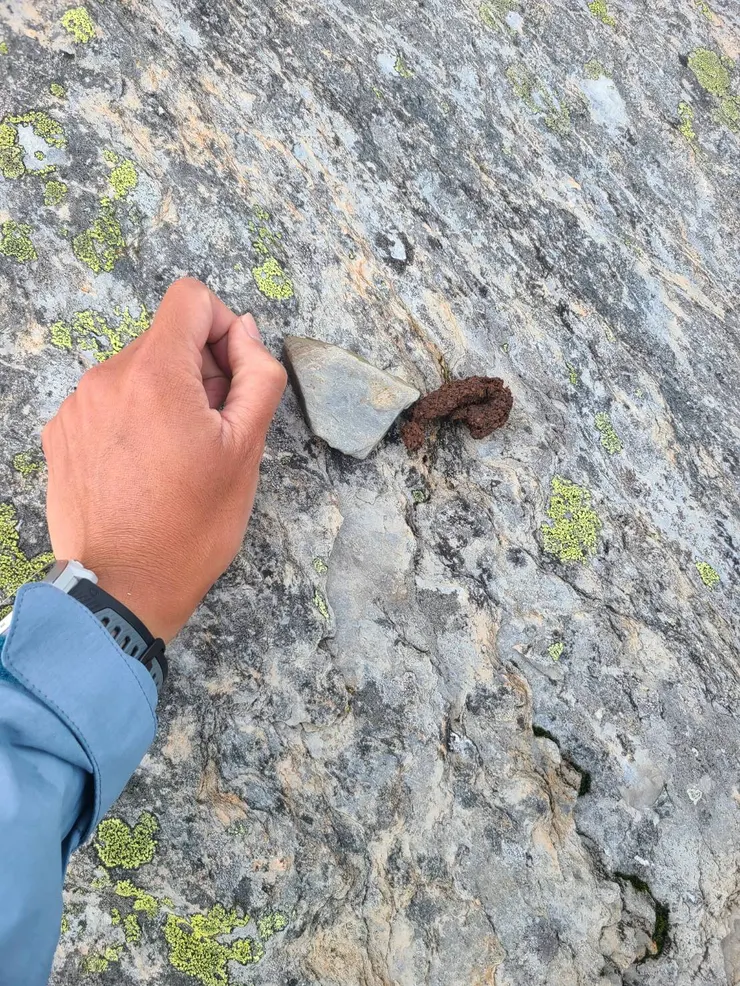 回主南岔口路上,碎石路段又看到類似先前看過的糞便型態,但大小差很多(這次有記得用比例尺,詢問過野保所朋友),不確定又是什麼生物