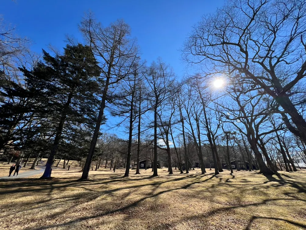 輕拾片刻微光 - 舒珊的創作沙龍