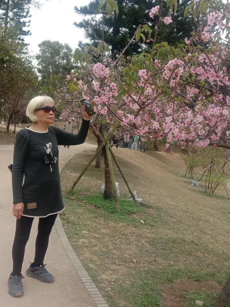 她在看花，我在看她。