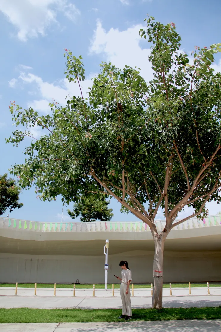 幾米繪本般的奇幻世界