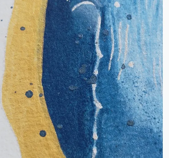 疊色洗色多次的鯨背和肩膀