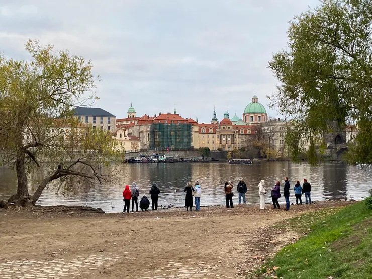 我們往河濱走去,希希說,在那裡有世上最醜的生物,那裡也有我會喜歡到翻跟斗的草地。