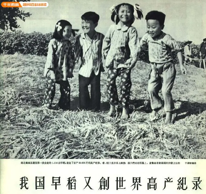 湖北麻城糧食倍數增產  圖片來源：https://x.com/zhu0588/status/1972785480740860363