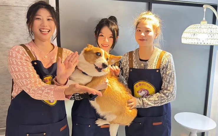 （圖／ 美麗meme）