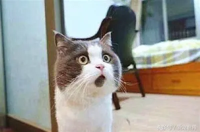 一年差不多有將近半年時間都在休假!?這麼好的工作上哪找?