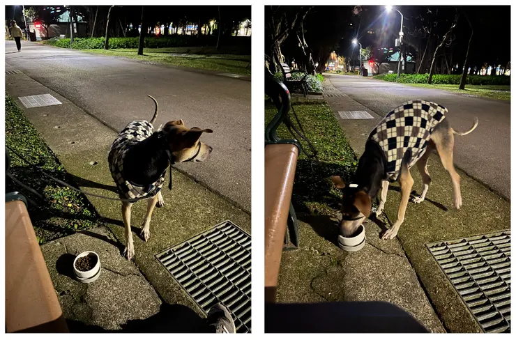 晚上挑戰公園成功