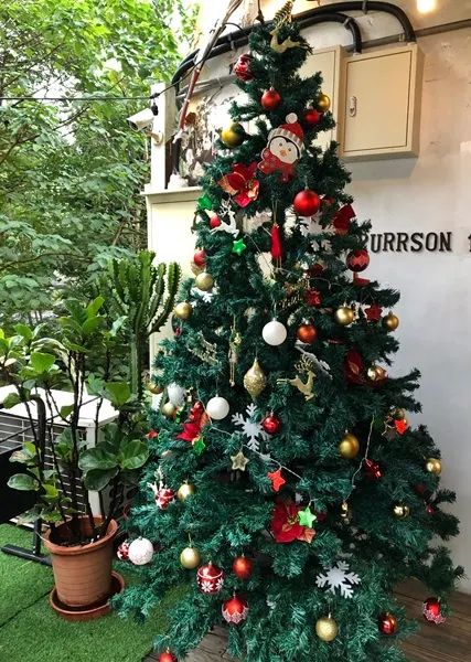 濃濃的聖誕風情