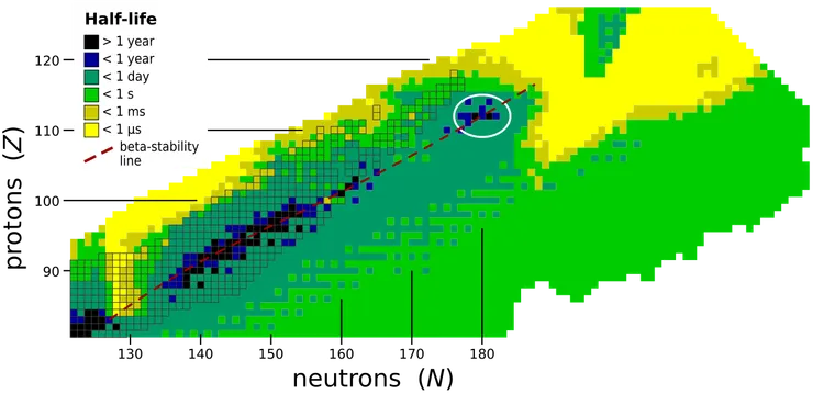 預計安定島的位置,虛線是β穩定性線。