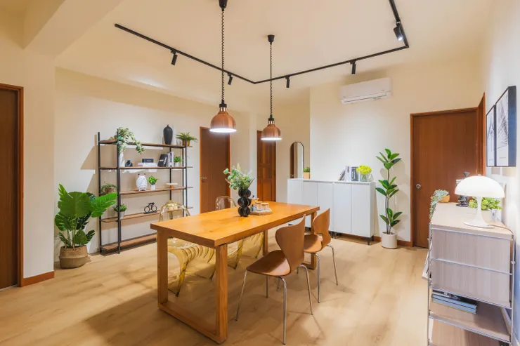 圖照來源：SAND Partners