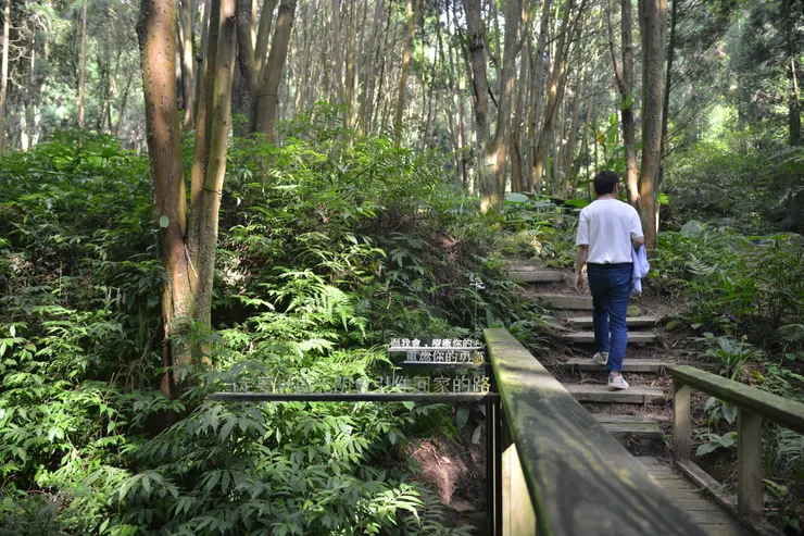 王村煌走在薰衣草森林林間步道，述說這片土地的變化與二十多年的堅持。