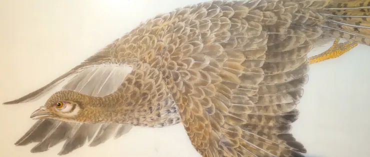 〈春律─向林玉山老師致敬／三月之晨〉局部－雉雞