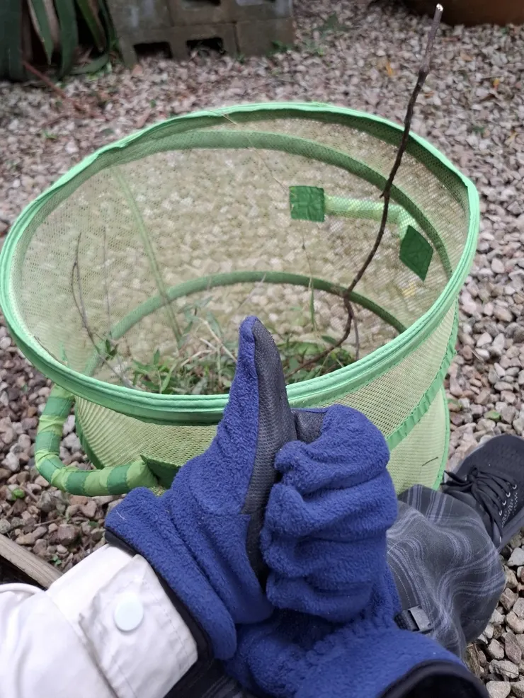 在兩公頃大的花園裡挖呀挖呀挖！