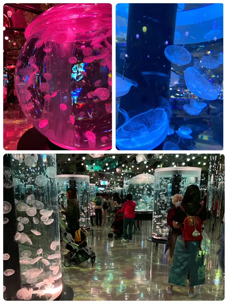 這一區的燈光效果很絢麗!超美的!