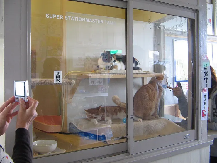 值勤中的站長與助手們