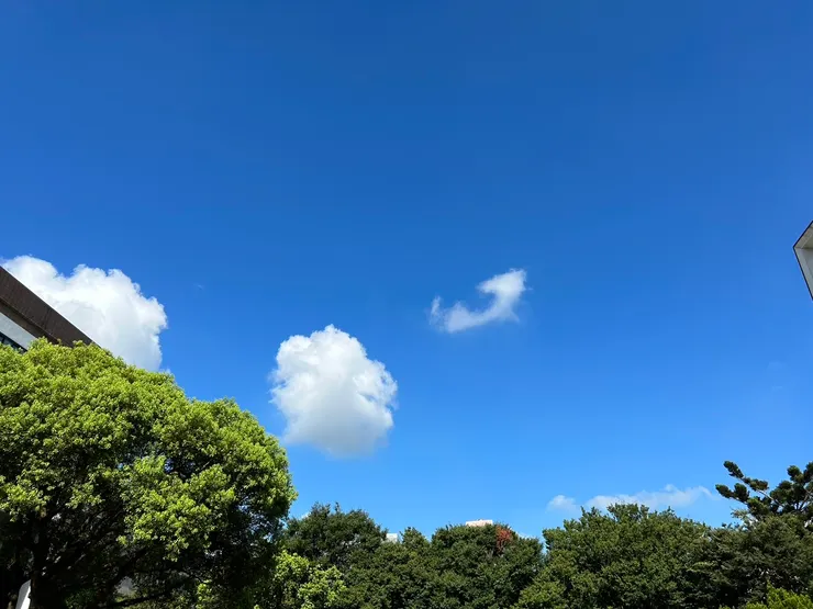 天空裡有一隻貓