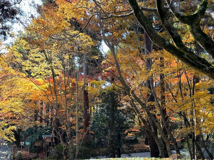 寺廟會有更多的庭園概念的景致,神社會比較依據神靈的安排和風水為主