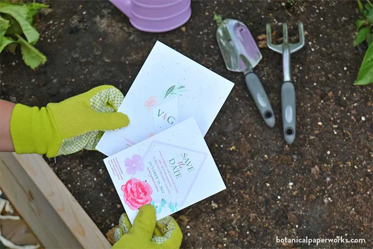 可種植包裝是近年來出現的一種創新包裝形式
