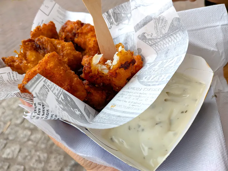 Photo: Zora @ Amsterdam, Netherlands. Aug 4, 2025.