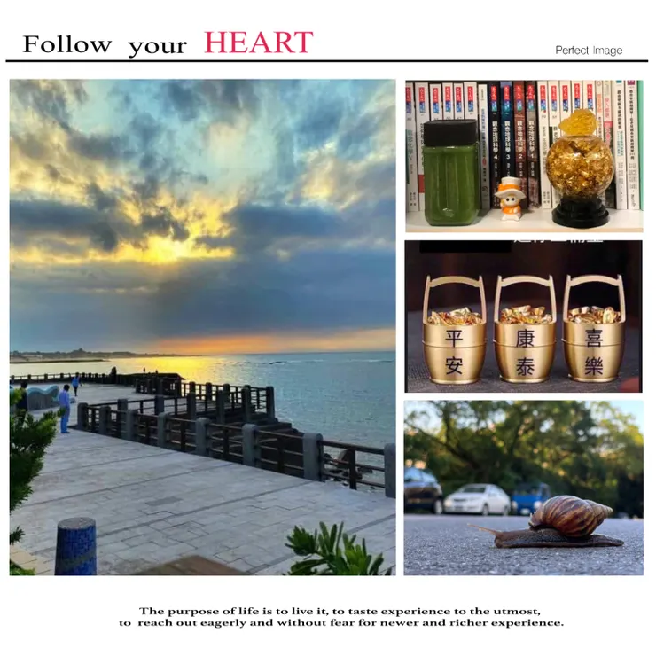 讓我們的生活與財務都永續發展的喜悅❤️