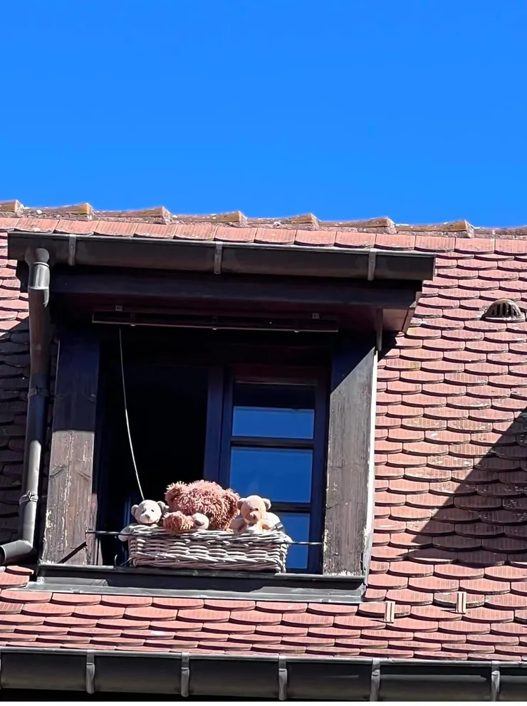 可愛的玩偶也要曬一下太陽喔