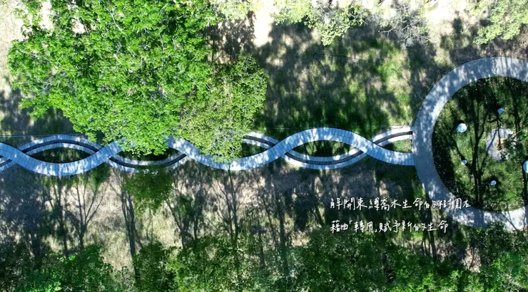 冬天的玉井虎頭山運動公園一隅