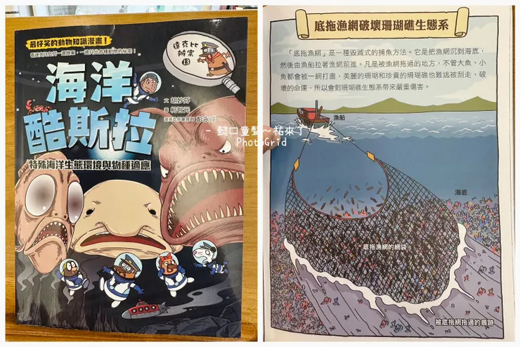 共讀書籍與生活經驗做連結，幼兒觀念上的更加深加廣需要家長幫大忙。