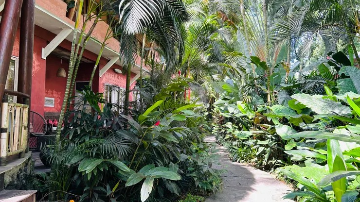 房間外花木扶疏