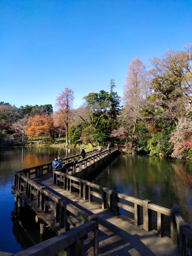 橋上吸引不少人駐足欣賞美景