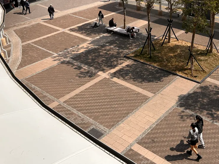 左營高鐵到家視角：清晰的人影樹影