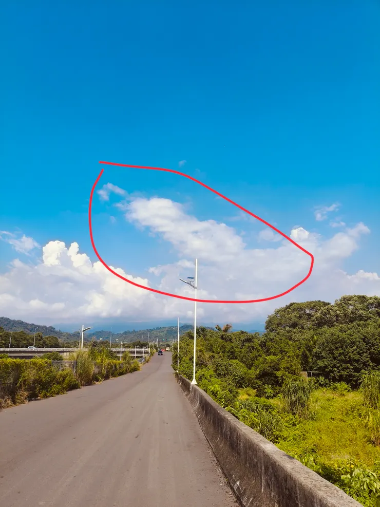 來喔！清蒸兔頭