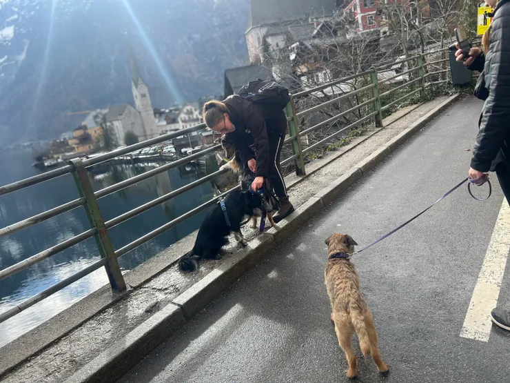 奧地利🇦🇹哈斯達特