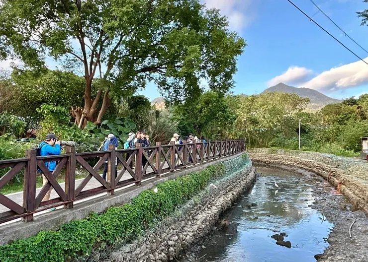 圖03 繞去河邊公園先看看水鳥