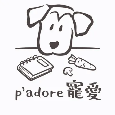 寵愛小編的沙龍