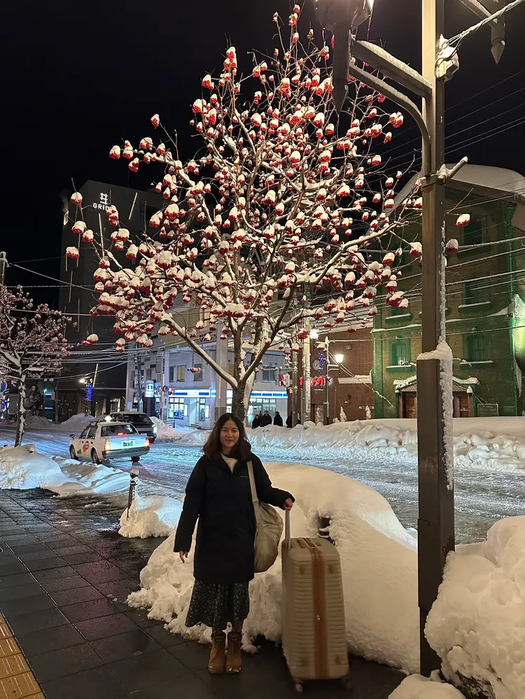 2025於北海道小樽市,旁邊結滿鮮紅果子的樹是七竈(ㄗㄠˋ),ナナカマド,中文叫花楸。
