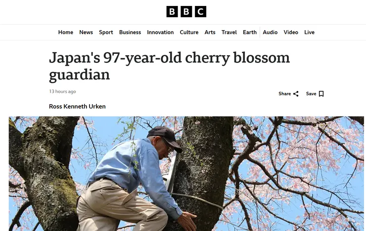 截圖及英文原文出處https://www.bbc.com/travel/article/20250422-japans-97-year-old-cherry-blossom-guardian