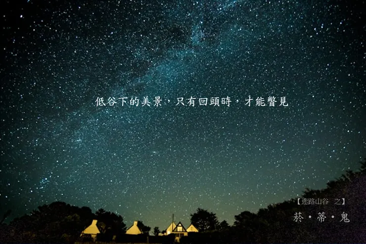 Image by Lamna The Shark from unsplash