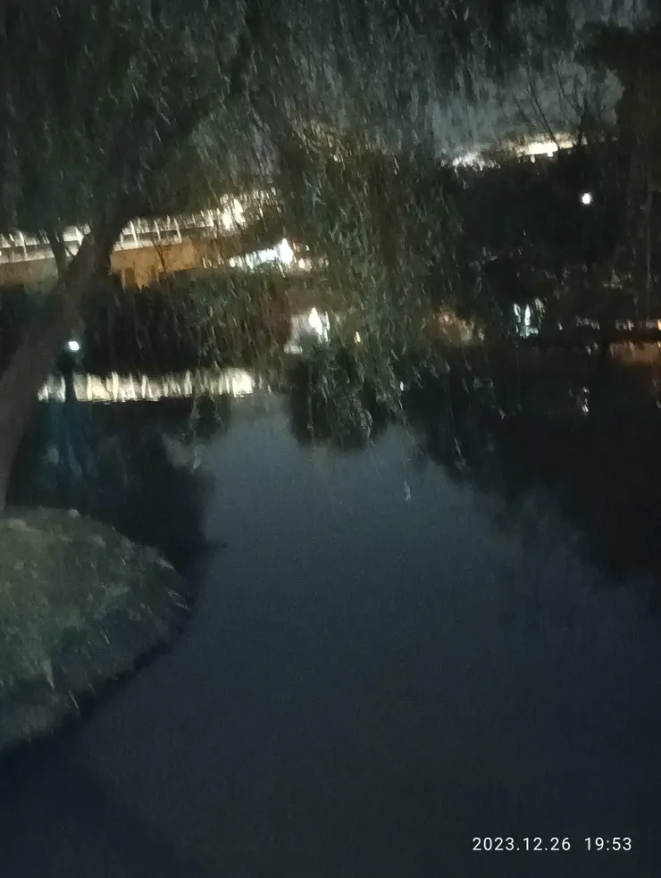 淡淡飛絮落池塘