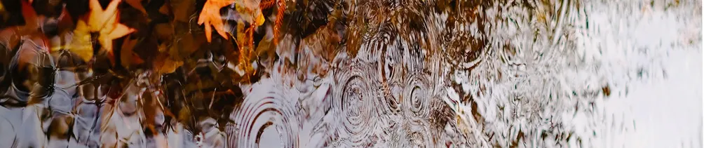 浦盛倥 Nainai 的隨遇而安