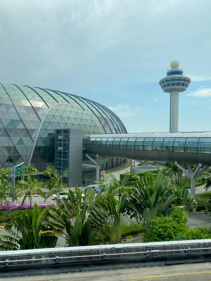 新加坡樟宜機場外觀就像進入阿凡達的世界一樣，綠意盎然