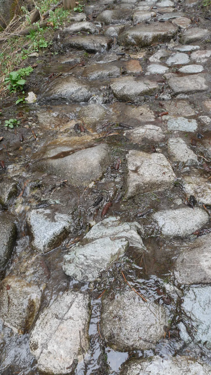 捷徑上有雪融化後的小小瀑布