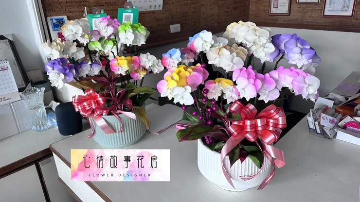 台南最推薦花店|心情故事花房陪您迎接蛇年,蘭花盆栽添喜氣,公家機關、銀行、醫院一致首選!