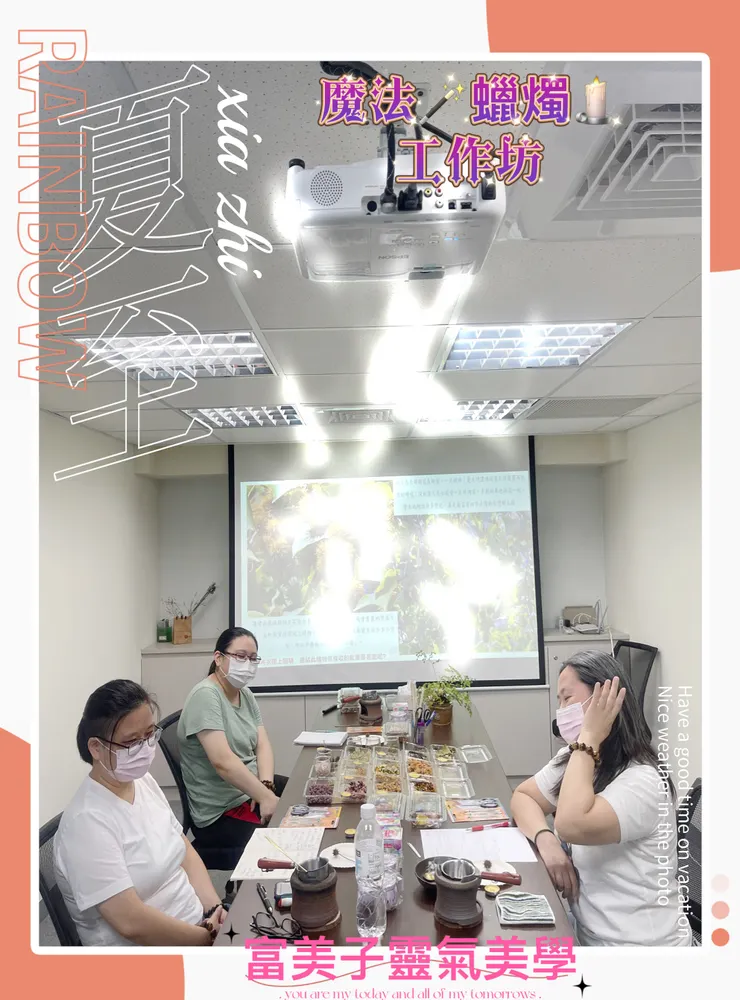 植物能量體系-同種植物是如何區分能量質地的不同呢?~富美子靈氣美學