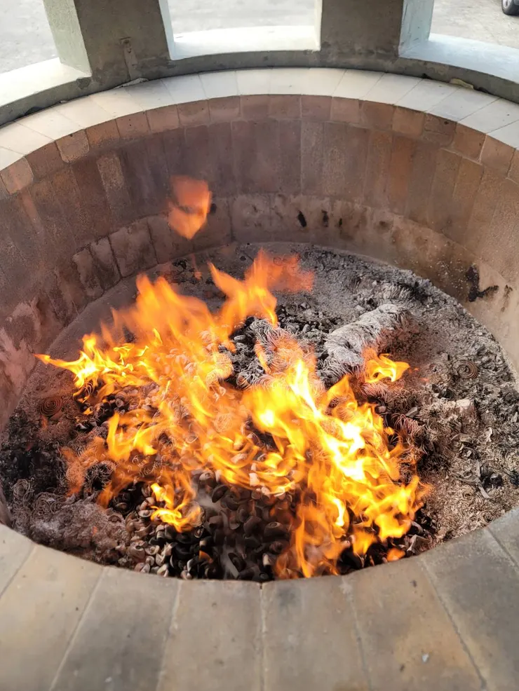 龍年，有龍的感覺